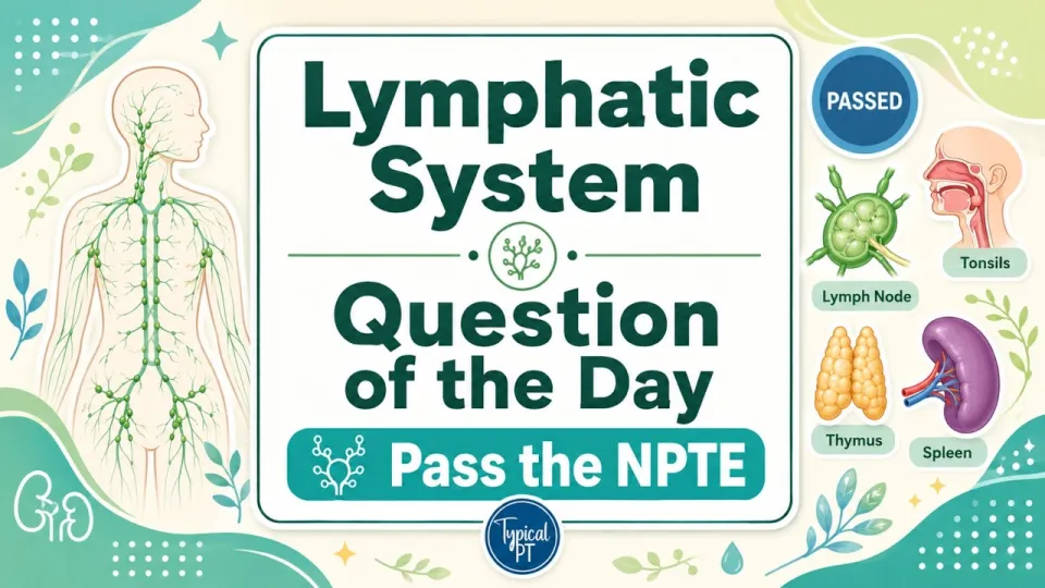 5 Essential Steps to Master NPTE Lymphatic System Practice Questions
